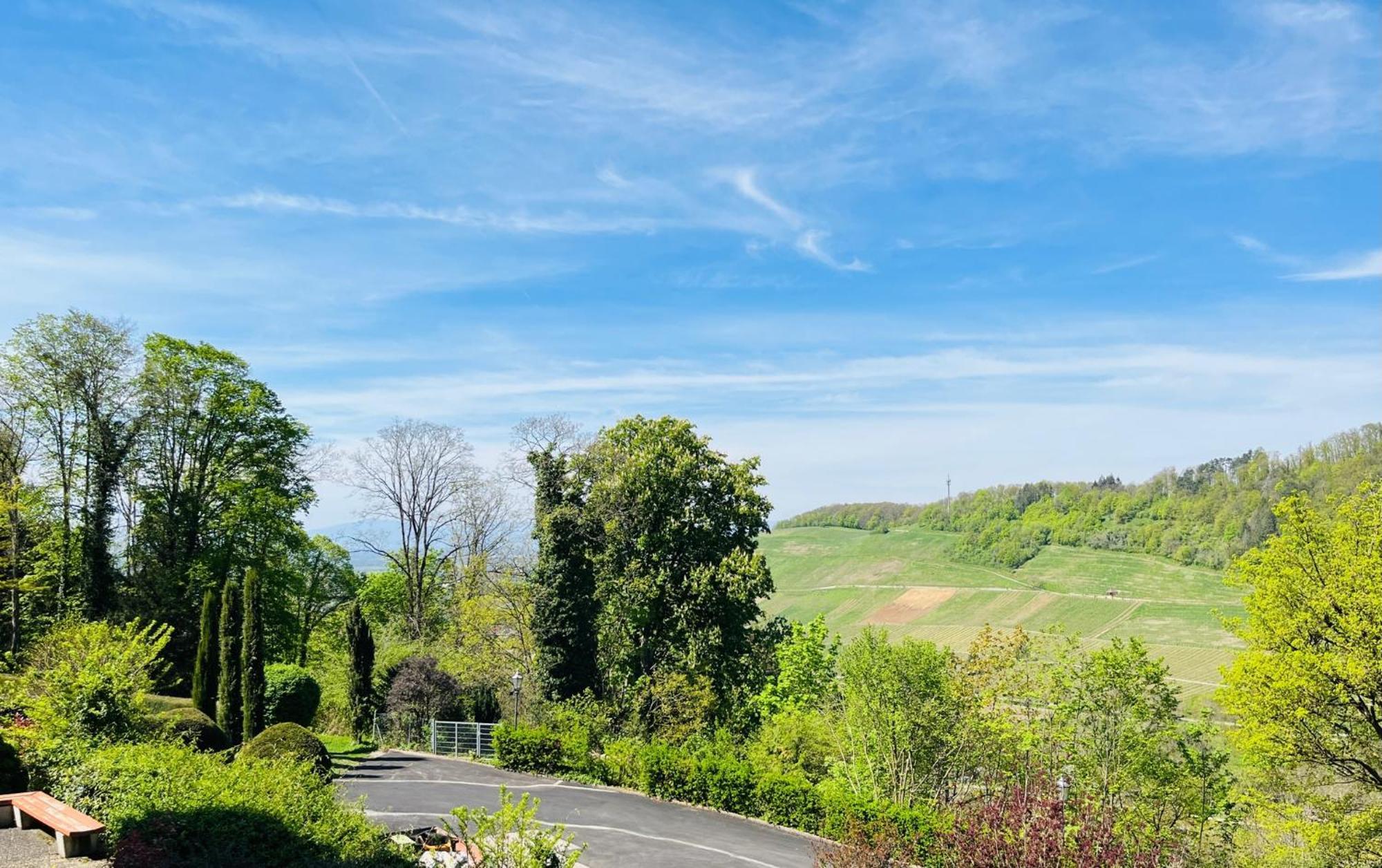 Hotel Schlossberg Badenweiler Exterior foto