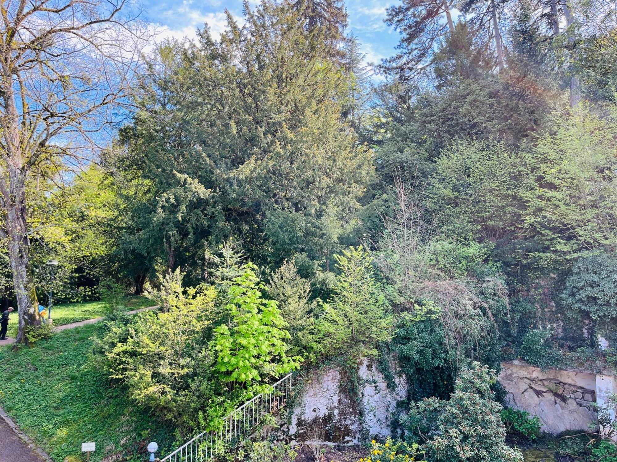 Hotel Schlossberg Badenweiler Exterior foto